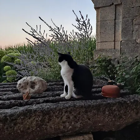A La Campagne