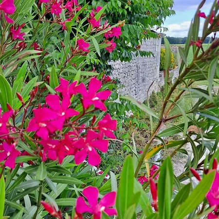 A La Campagne * Becheresse