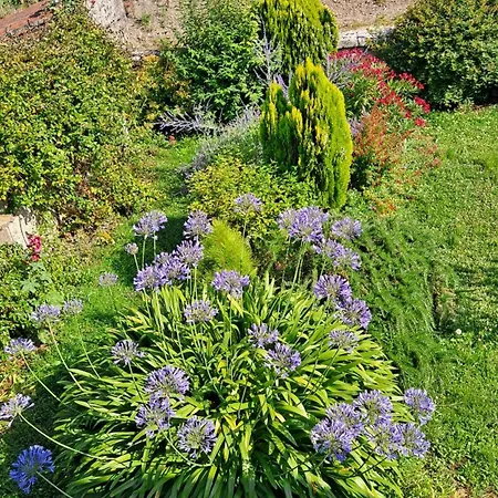 منزل ريفي A La Campagne Becheresse