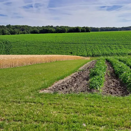 A La Campagne Becheresse