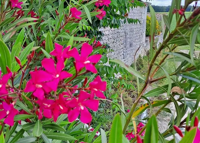 A La Campagne * Becheresse