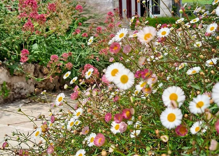 A La Campagne Becheresse