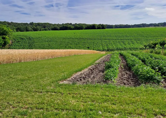 A La Campagne Becheresse